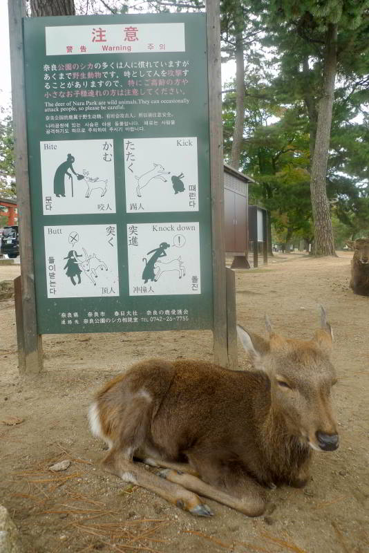 Warnschild in Nara: Probleme mit Hirschen gab es schon immer