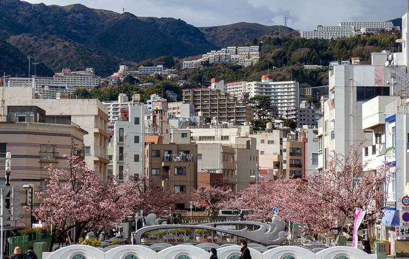 Atami Kirschblüte: Blick über die Stadt