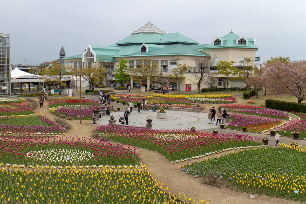 Tulpenfest am Furusato Mura in Niigata