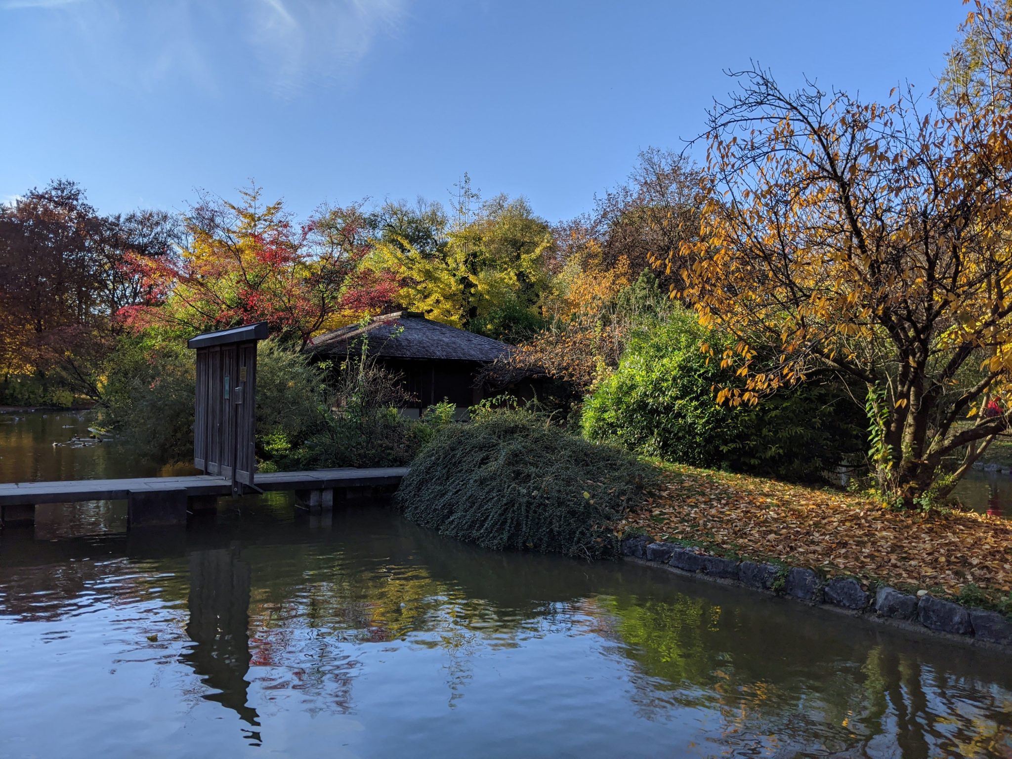 Japan-Weh: Teehaus im englischen Garten