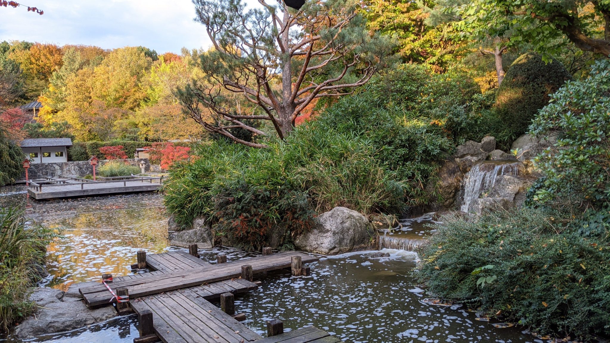 Japanischer Garten Westpark