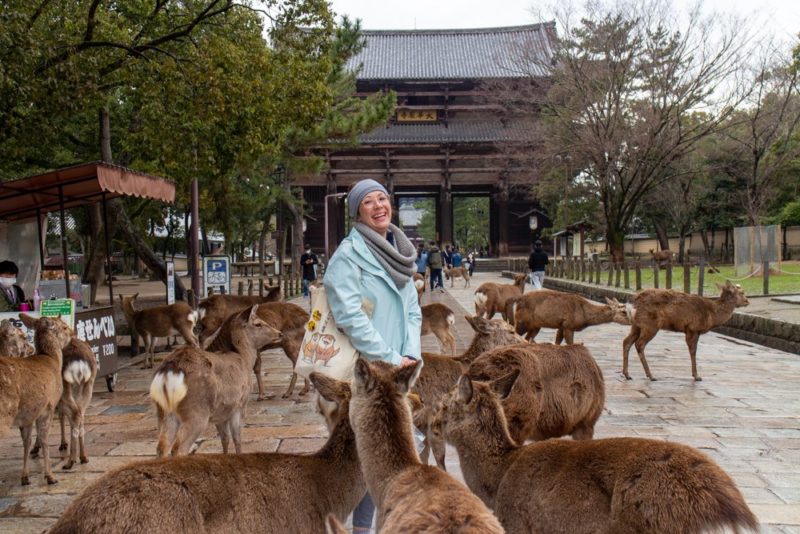 In Nara gibt es Rehe und es ist ein sehr guter Ort.