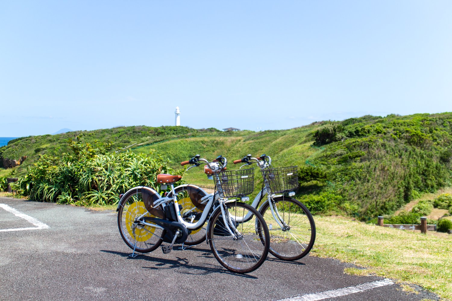 Die Räder bringen euch auch von Shimoda zum Kap Tsumekizaki.