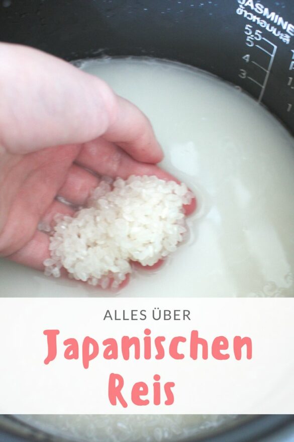 Sushi Reis kochen eine Anleitung für die Zubereitung von japanischen Reis The Hangry Stories