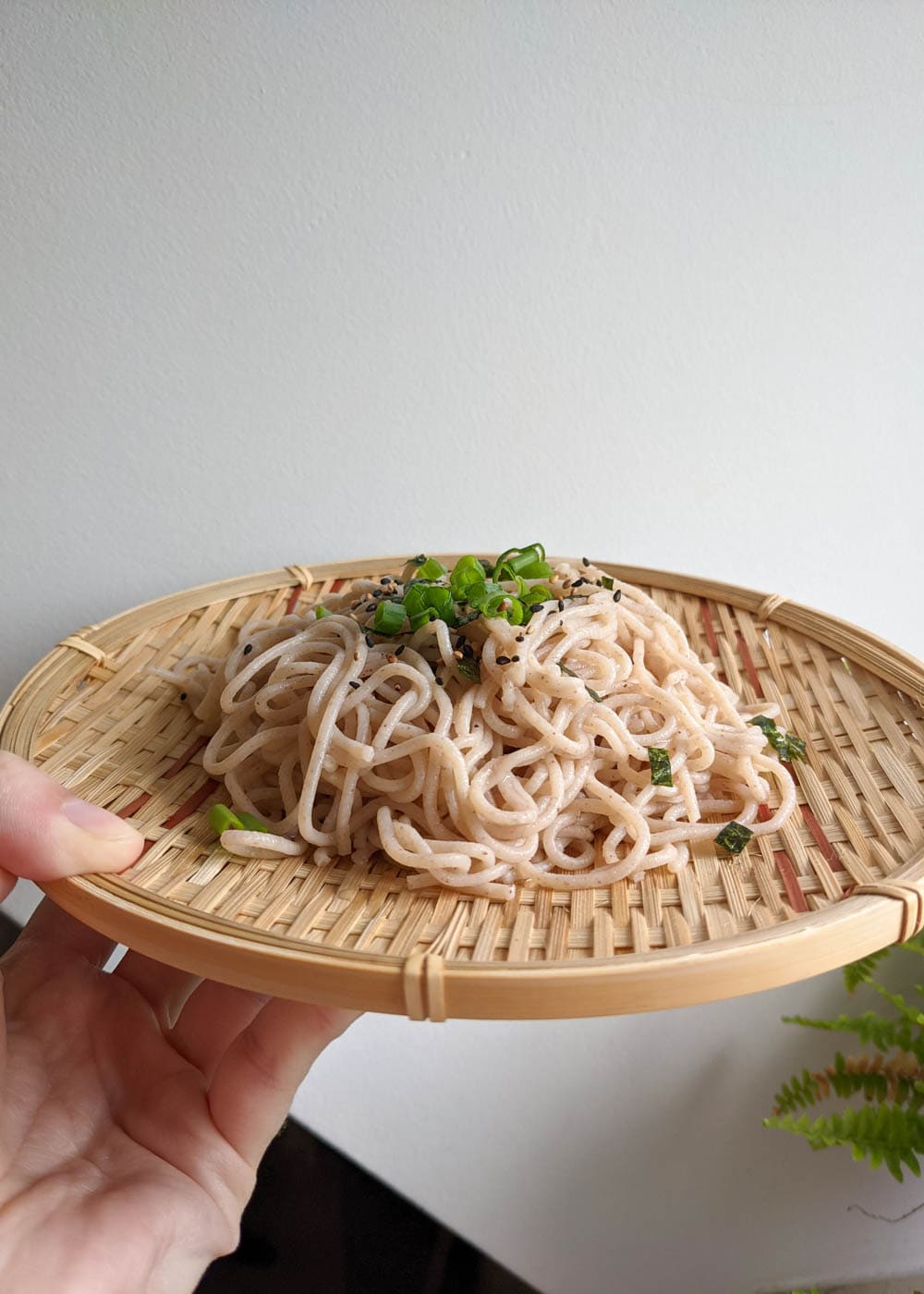 selbstgemachte Soba Nudeln