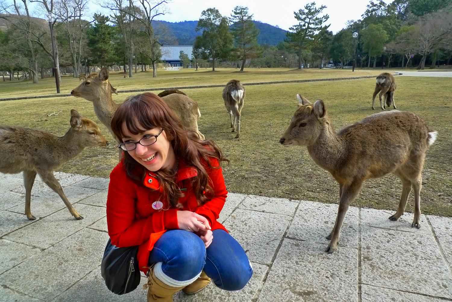 Erstkontakt - Nara im Winter 2012