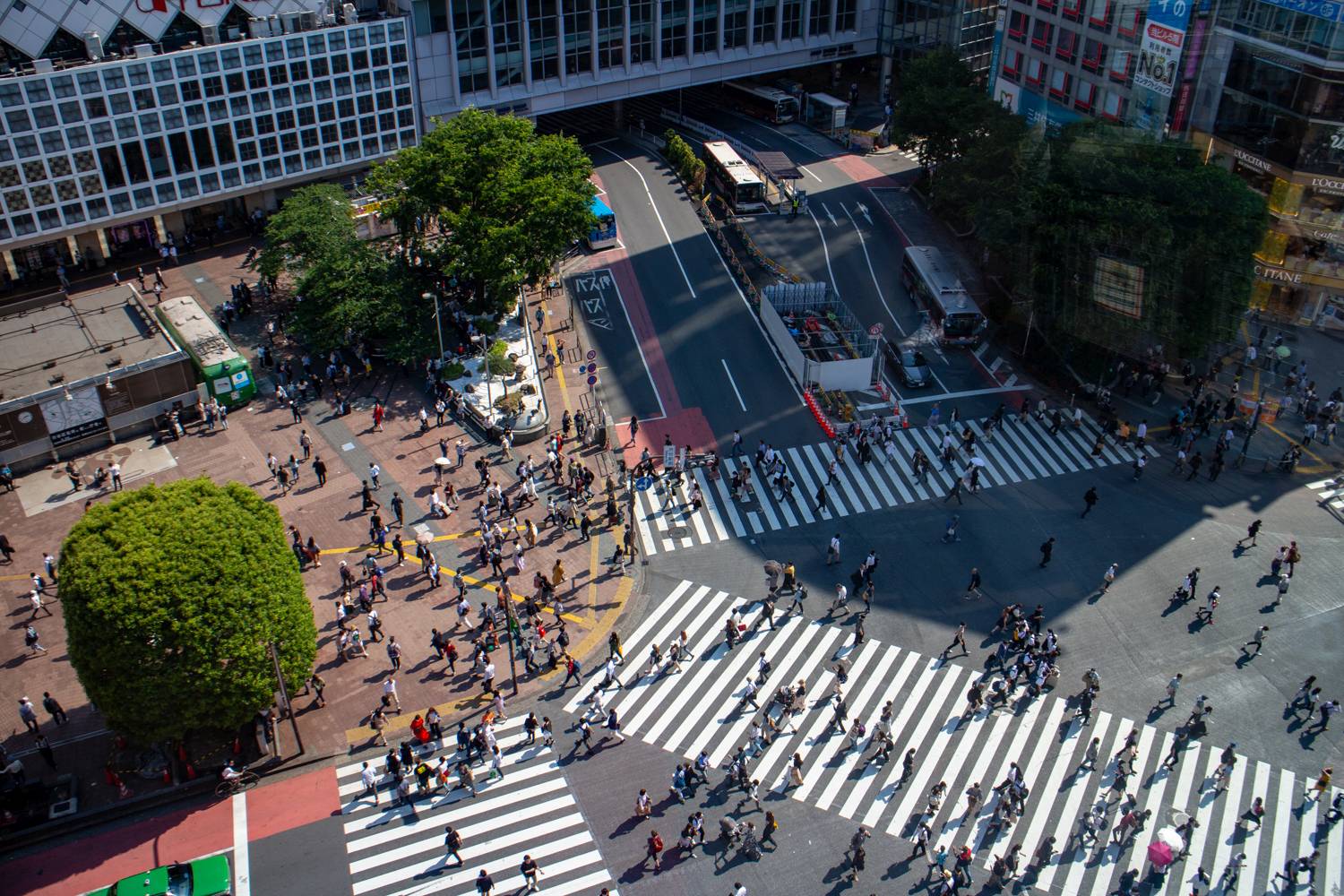 Die Shibuya-Kreuzung. Die Bäume am oberen Bildrand markieren Hachiko.