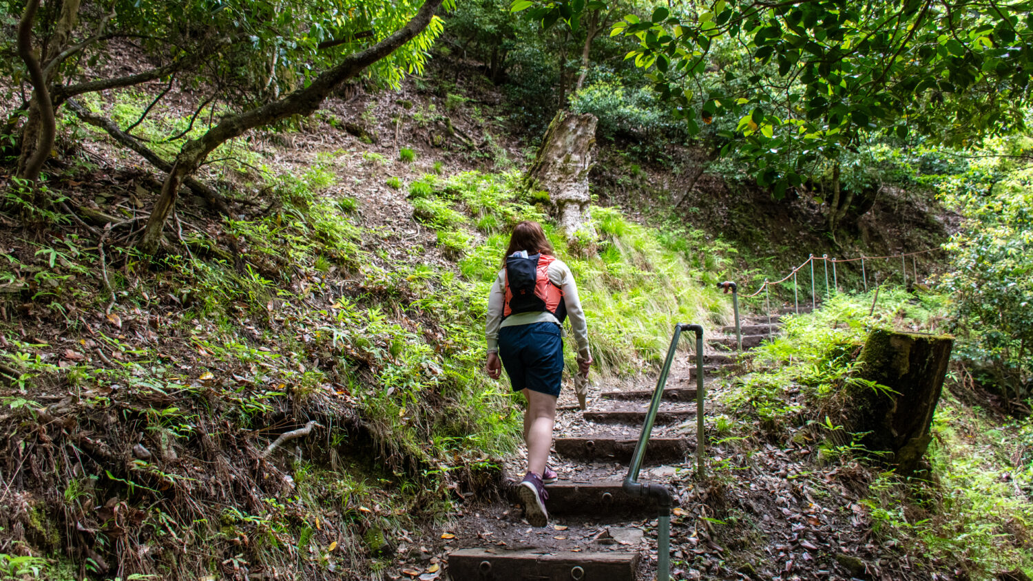 Wanderung von Kibune nach Kurama